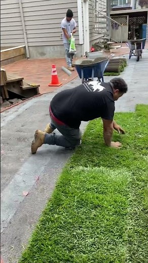 How to install new sod with wire underneath to prevent gophers