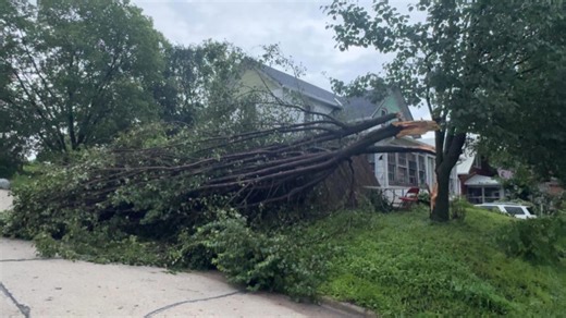 Strong winds, heavy rain down trees in Guthrie Country