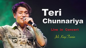 17M views · 956K reactions | Teri Chunnariya | Hello Brother | Salman Khan | Rani Mukherjee | Live In Concert - Jelly kayi Vanue : Nimta Jonaki ----------------------------------- Contact For Any Show Pride Musical Event- Ranjan Mukherjee 9002040011/ 983044497 #90s #salmankhan | Jhankar Studio | Facebook