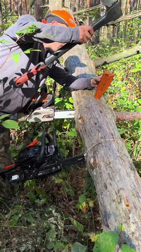 🪚😅 Die Motorsäge steckt im Baum fest… genau das hat noch gefehlt! 😂🌲 Jetzt heißt es: irgendwie wieder raus damit. 🔥 #Motorsäge #Baum #Waldarbeit #Forst #Fail
