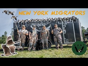 NEW YORK EARLY GOOSE HUNTING