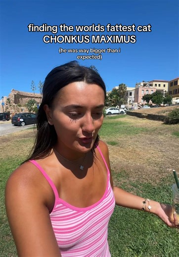 Finding Chonkus Maximus: The World's Fattest Cat