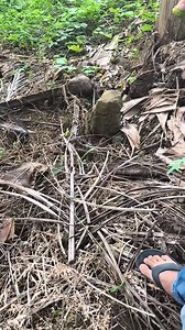 Naka jackpot narin ng Jar sign😱😱 #YamashitaTreasure #fblifestyle #forintertainmentpurposesonly | Wenlies Tibi