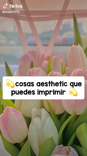 Cosas Aesthetic para Imprimir: Ideas Creativas