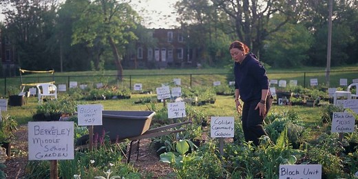 What Is a Community Garden (and Should You Join One)?