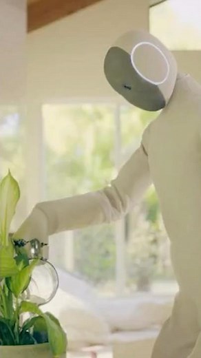 The future is here, a robot can now do your chores for $20,000