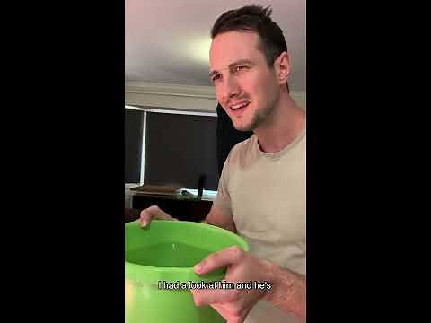 How To Stay Hydrated!