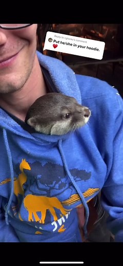 Otters Keeping Warm in Hoodie at Zoo Aquarium with Zookeeper