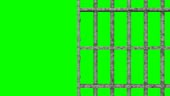 HD Animation - This video contains two views of jail cell bars...
