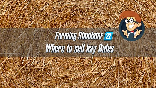 Farming Simulator 22 How to Sell Hay Bales | FS22 Sell Bales