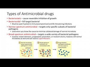 Chapter 14 OpenStax Microbioloy