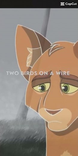 Firestar x Sandstorm sad edit || Warrior cats