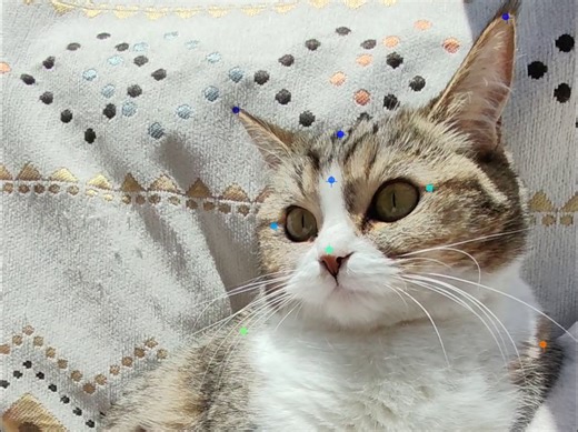 DeepLabCut 无标记追踪 Tutorial3：Label Frames