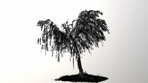 Scan tree point cloud！ - Buy Royalty Free 3D model by Deeper (@deeperstudio)