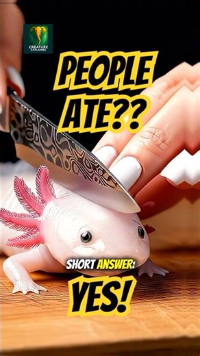 Axolotls Were Once on the Menu?!