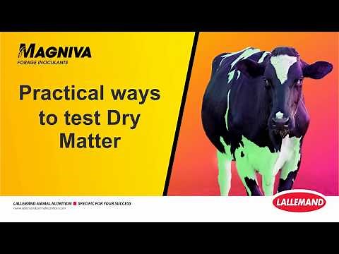 How to Test Forage dry matter at home | Quick & Easy methods