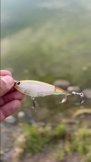 Demonstrating the Berkley choppo 90. #fishinglife