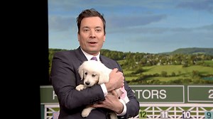 1.8M views · 21K reactions | Jimmy welcomes back his panel of puppies to predict the results of the 142nd Kentucky Derby. | The Tonight Show Starring Jimmy Fallon | Facebook
