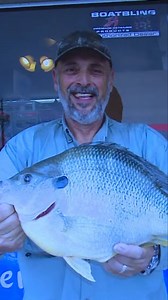 Here's a clip with Al Lindner from the new 2025 episode "Bluegills on Rocks" - Video link in the comments here. #rapala | Lindner's Angling Edge