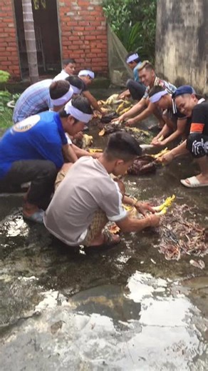 Processing Chickens Outdoors: A Step-by-Step Guide