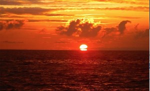 Manta Ray Night Snorkel Kona | Kona Snorkel Trips