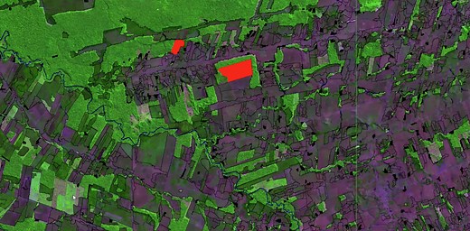 Prodes and Deter: get to know these strategic systems in the fight against deforestation in the Amazon