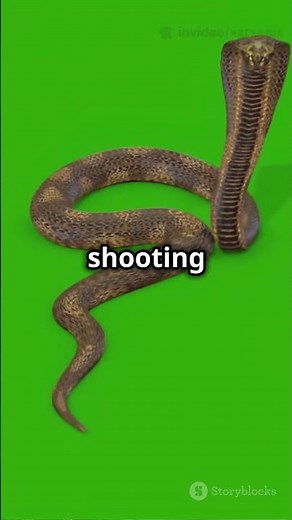 Jack Black & Paul Rudd vs. GIANT SNAKE! 🐍 Anaconda (2025) Movie Explained & Review #Anaconda2025