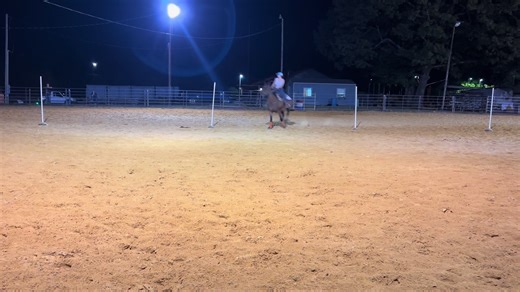 Muckys coming along! #barrelracer #barrelracing #polebending #horses #fyp