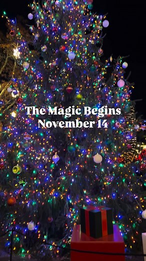 POV: It's the holiday season at Peddler's Village. ✨ The magic begins November 14! Mark your calendars for our holiday events: 🧑‍🎄 A Night with Mrs. Claus: November 7 🎄 Grand Illumination Celebration: November 14 🎶 Holiday Kickoff Weekend: November 14-16 👩‍🍳 Gingerbread Competition & Display: November 14-January 17 🎅 Holly Jolly Weekend: December 6 & 7 Visit our website for more info. Free admission! Presenting sponsor of the holiday season: Uber ✨ 🚗 | Peddler's Village