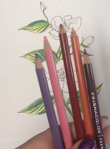 You don’t need a green thumb to make these flowers come to life!...