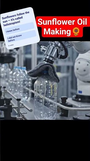 This is how Cooking Oil is Made #howitsmade #factorytour #factorytour #factoryprocess