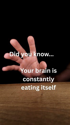 Did You Know Your Brain Eats Itself?