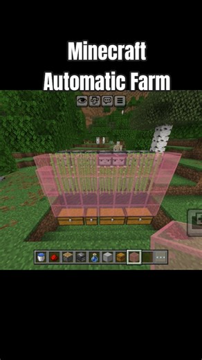 The EASIEST farm in Minecraft! (automatic sugarcane farm)