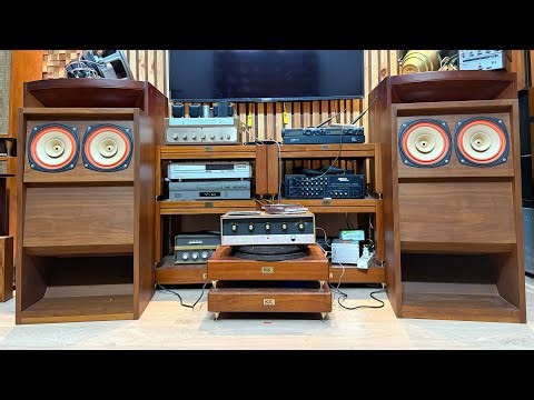 These are incredibly powerful full-range speakers with dual bass drivers and a famous Fostex FE-2...