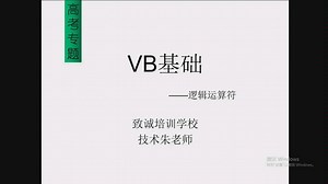 VB基础之逻辑运算符