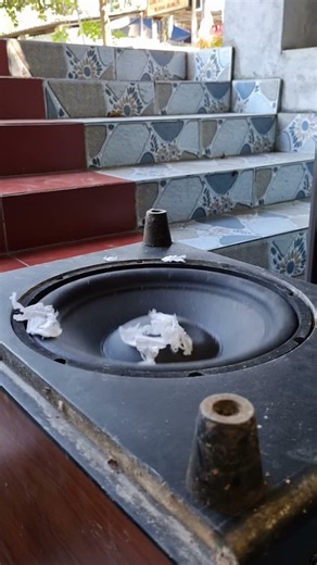 This 12-inch Bose China HITS HARD! 💥 Deep Bass Test 2026 #basstest #dj #nghia #subwoofer #bass