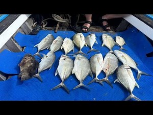 Epic Fishing from a Longtail Boat in Thailand | Popping & Trolling Offshore Khao Lak