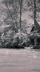 8.7K views · 54 reactions | The view of our Frye’s cabins from the river is  • Book your favorite cabin/site online today! Remember this weekend is the start of our in-season hours for the Fun Center 輪 • Your Adventure Starts with Us! www.MohicanAdventures.com | Mohican Adventures | Facebook