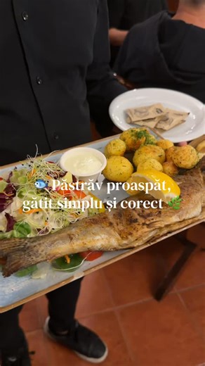 Fântânița Haiducului on Instagram: "La Fântânița Haiducului folosim păstrăv proaspăt de la Pescăria Sadu, livrat rapid și pregătit pe loc 👨‍🍳 Condimente puține, foc potrivit și gust curat – exact cum trebuie să fie peștele bun 😋 De la sursă locală, direct în farfurie 🍽️ 🔗 https://www.fantanitahaiducului.ro/ #PastravProaspat #PescariaSadu #FantanitaHaiducului #GustAutentic #IngredienteLocale"