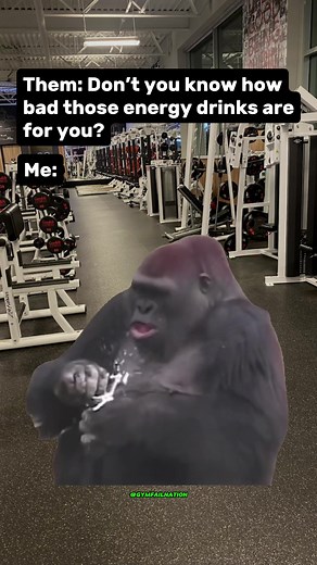 Hilarious Gym Fail Memes Compilation