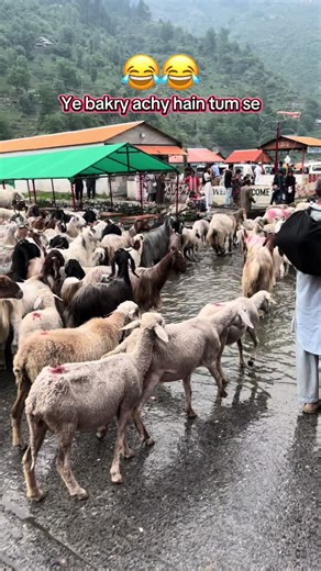 Bookings Open for Bari Eid Travel Packages in Faisalabad, Pakistan