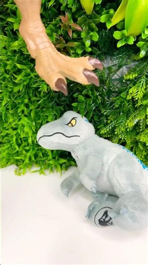 Velociraptor Vs T Rex Fight #dinosaur