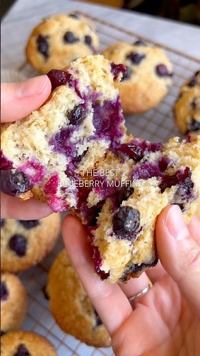The BEST Blueberry Muffins!