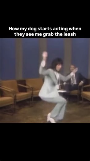 Michael Lobato on Instagram: "The celebration begins when I just brush up against the leash. . All jokes aside dog training and staying calm at the start of a walk sets the tone for the entire outing. When you take a moment to let your dog settle and focus before heading out, it helps them shift from excitement to mindfulness. Your calm energy shows there’s no reason to rush or pull ahead, reducing barking and that initial burst of chaos. A peaceful start often leads to a smoother, more enjoyabl