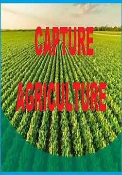 Capturing Agricultural Data in ArcGIS#sorts #trending #gistutorial #qgis #agriculture #education