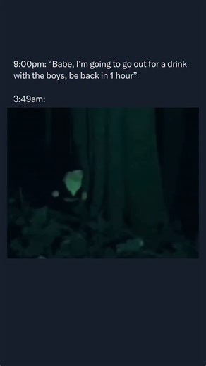 Dark Humor on Instagram: "😂😂 Gnomes are legendary creatures rooted in European folklore, traditionally described as small, humanoid beings who live underground and guard buried treasure or precious minerals. Often depicted as elderly men with long white brains and pointed caps, they were originally seen as “earth elementals” capable of moving through solid ground as easily as fish swim through water. In modern pop culture, they have evolved from mysterious mountain dwellers into the iconic, br