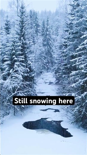 ❄️ Snowfall in the Forest | Winter Ambience for Relaxation & Sleep 🌲 #snowfall #winterasmr