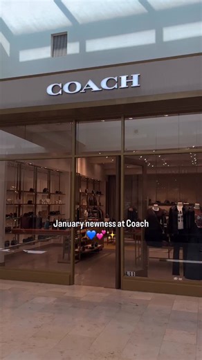 rogue.mavericks: Coach Handbag & Accessories Stylist on Instagram: "#coachretailemployee #coachny ❄️💙 January new arrivals at Coach! Love the new rogues, blue suede bags, and pink shoes 🥰 #coachbag"