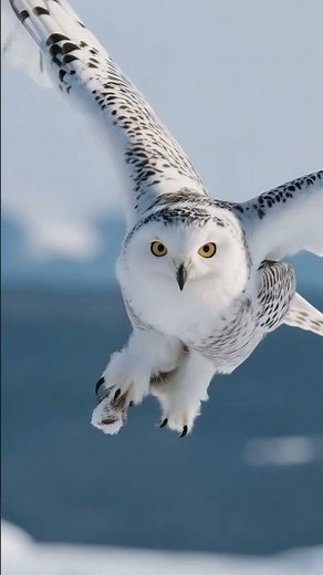 Rare Arctic Snowy Owl Shows Off INCREDIBLE Hunting Skills!