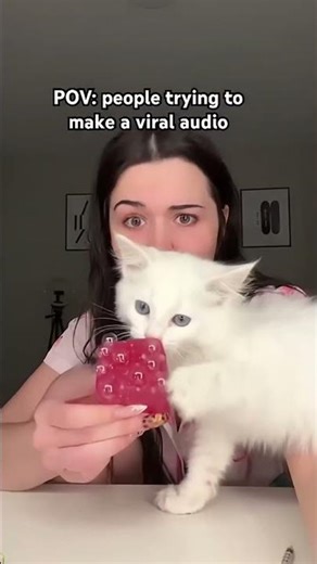 ‪@Leekirra‬